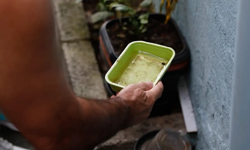 Professores de SP cobram medidas de combate à dengue nas escolas