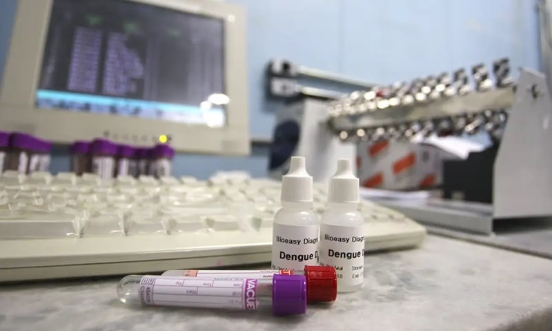 Preços do exame de dengue variam até 276% entre laboratórios