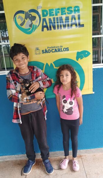 19 animais ganham novos tutores em São Carlos