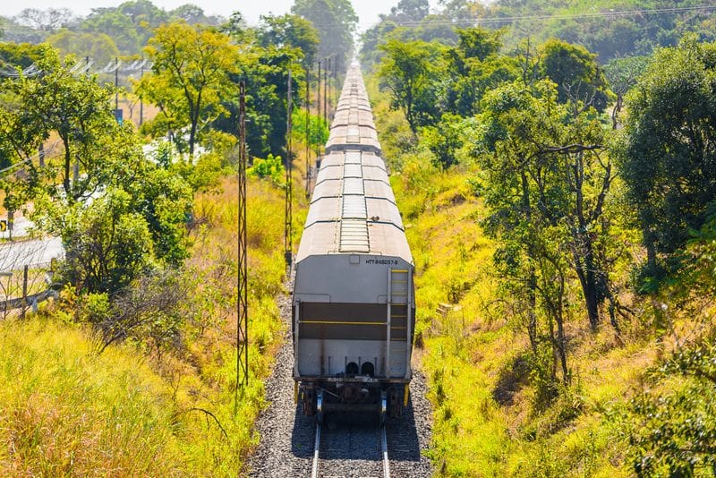 Homem é detido após viajar irregularmente em composição de trem na Vila Morumbi