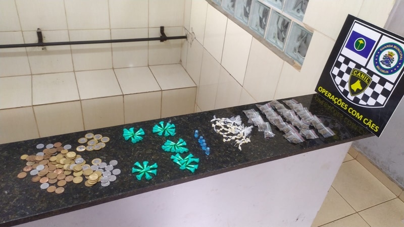 Canil da GM encontra novamente sacola com drogas e dinheiro no Hikare