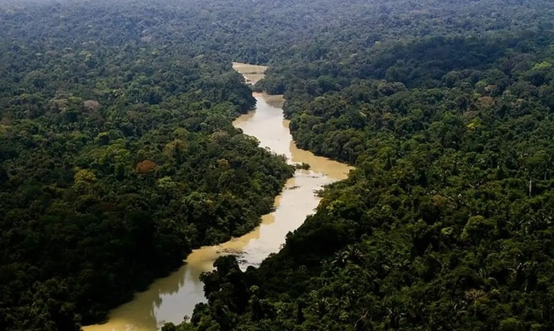 Brasil não trata meio ambiente com seriedade