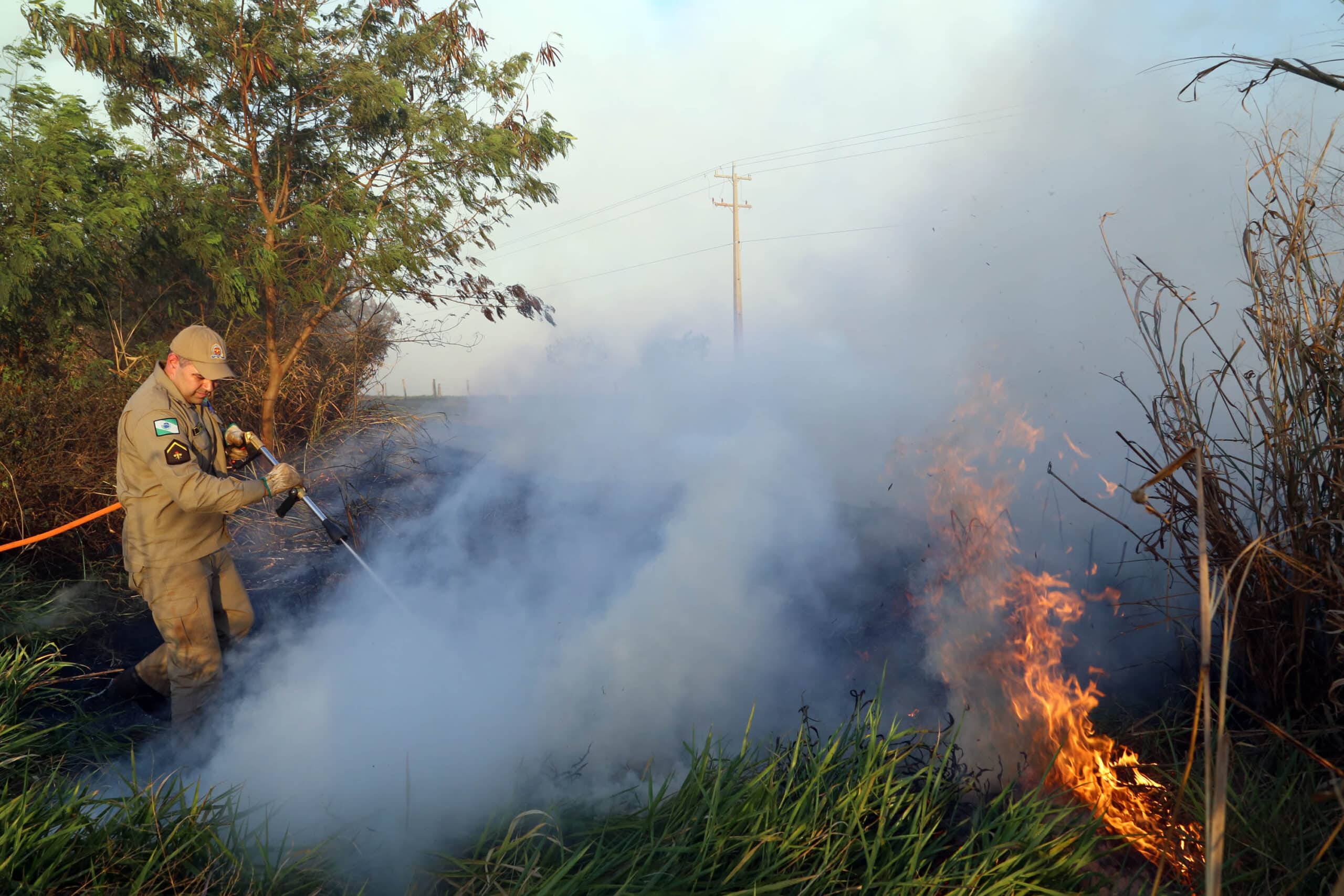 Incêndio consome parte de terreno perto da Washington Luis