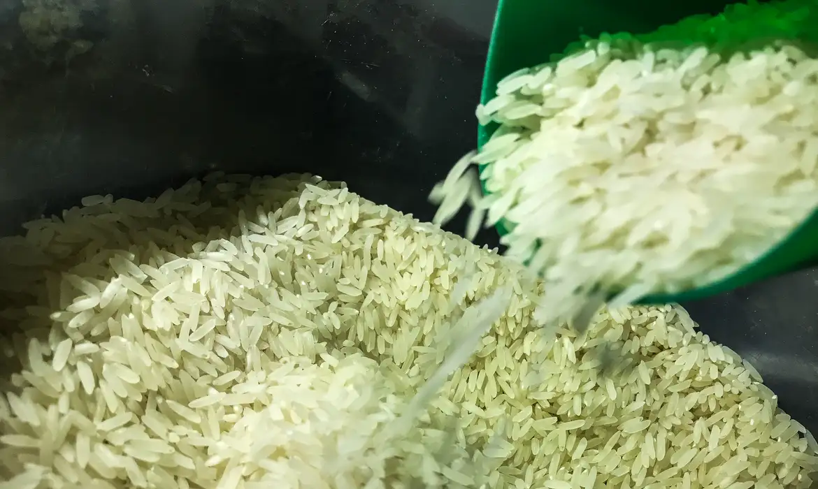 Governo compra arroz