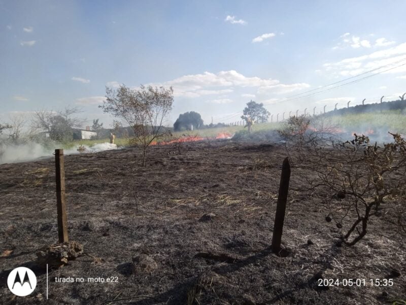 Incêndio destrói vegetação no Horto Florestal