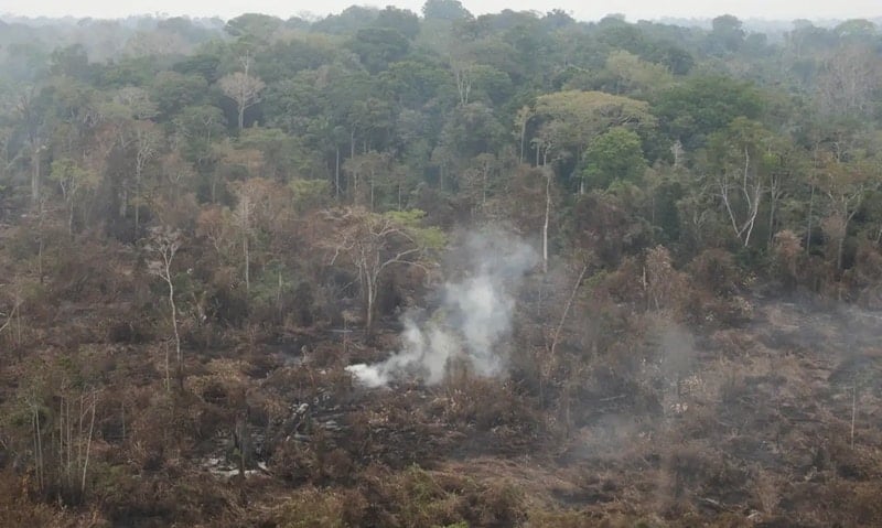 Amazônia tem 2,5 milhões de hectares queimados em agosto