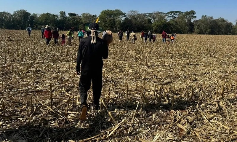 Fazendeiros armados perseguem e ferem indígenas avá-guarani