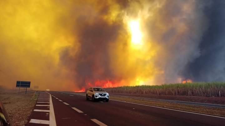 Incêndios devastam região