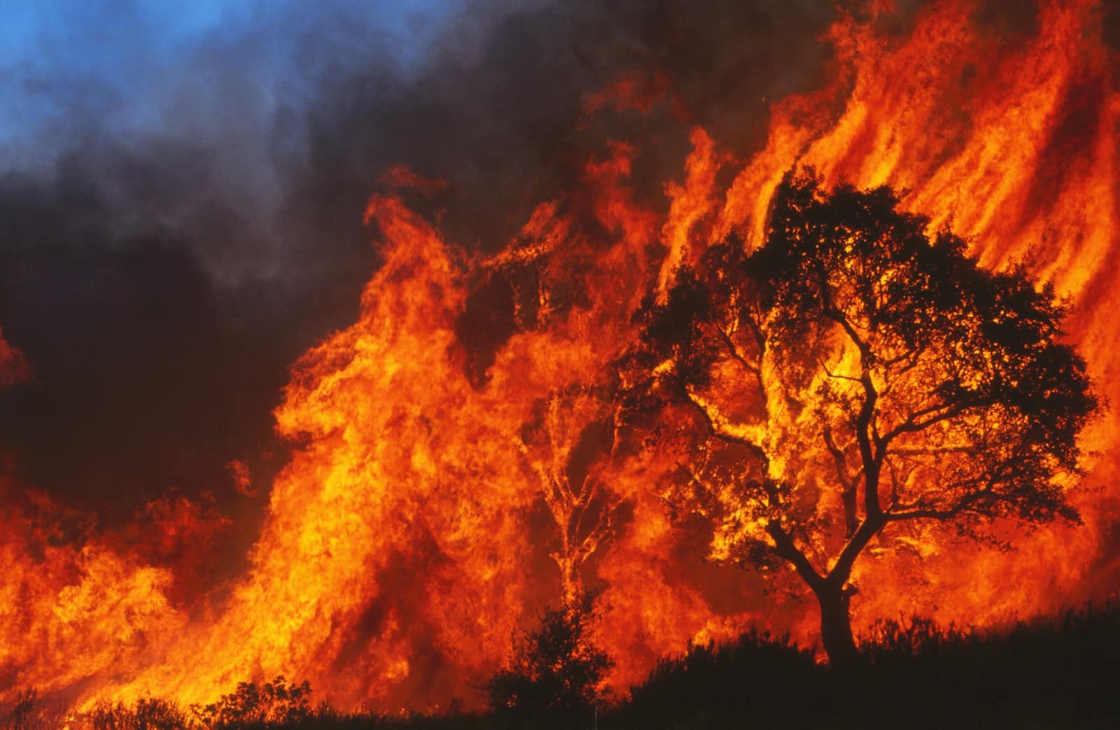 São Carlos é a cidade com maior número de focos de incêndio