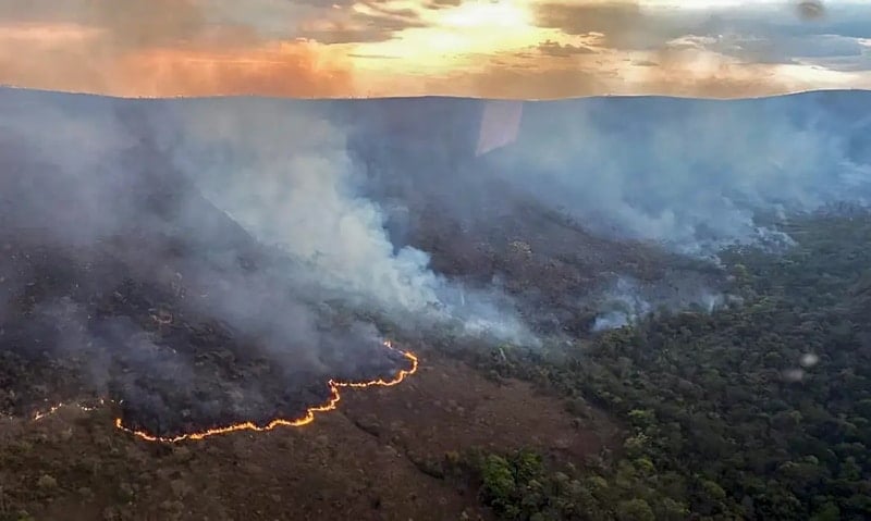 Estado de São Paulo amanhece com 11 focos de incêndio