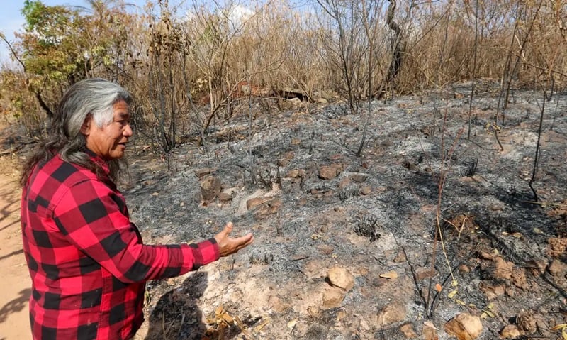 Indígenas sofrem com incêndio em área próxima ao parque de Brasília