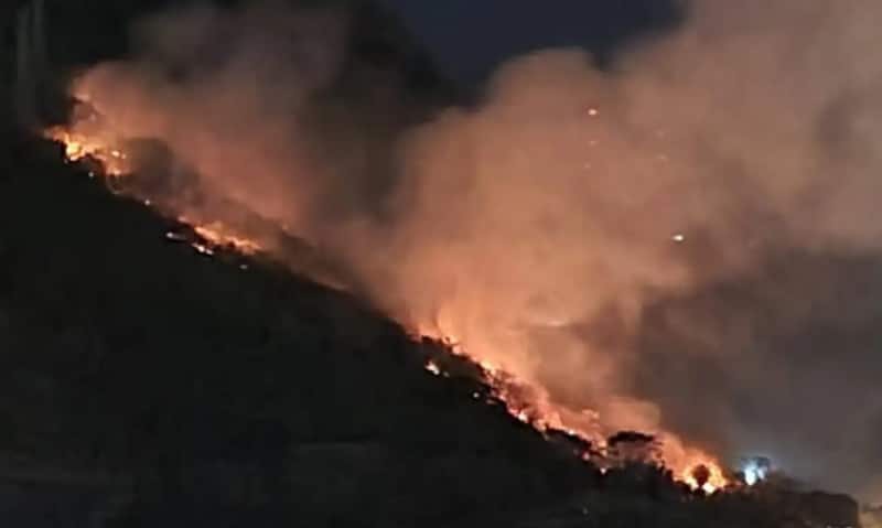 Bombeiros combatem fogo na Floresta da Tijuca por mais de 14 horas