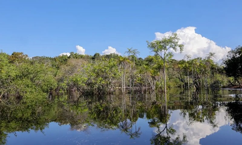 Rio Negro pode passar por pior seca da história ainda esta semana