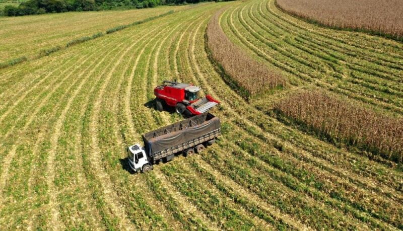 Exportação do agro cresce 9,2% em SP