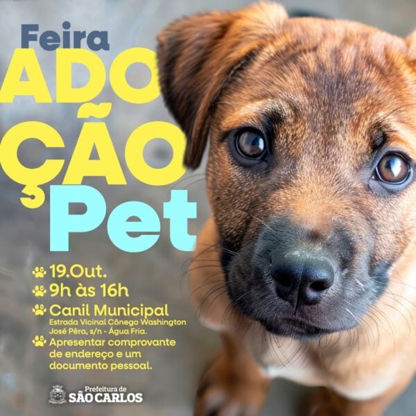 Feira de Adoção Pet no sábado