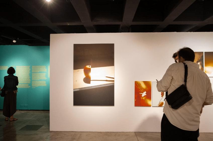 MIS inaugura exposição de fotografia