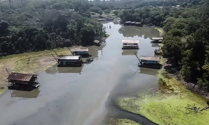 Rios da Amazônia têm risco muito alto de contaminação por mercúrio