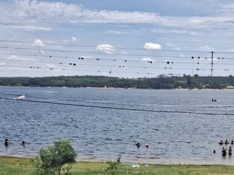 Placas de sinalização de áreas com risco de ataque de piranhas serão instaladas no Broa