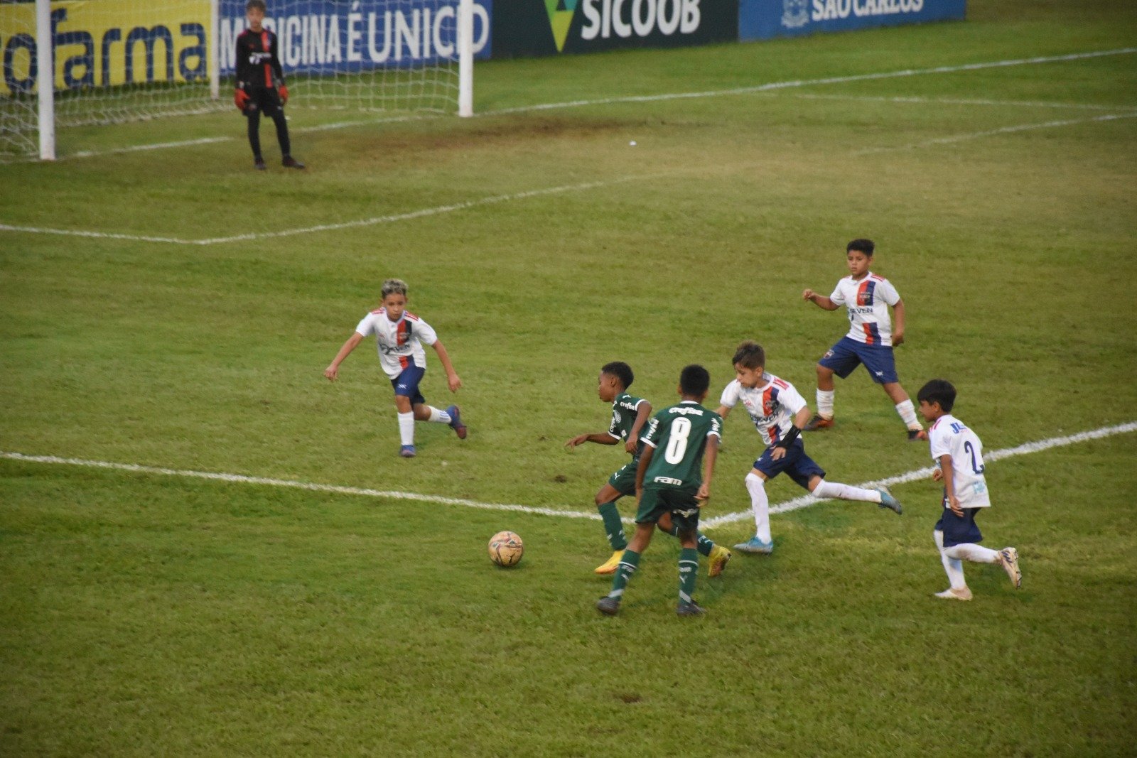 São Carlos recebe 9ª Sanca Cup