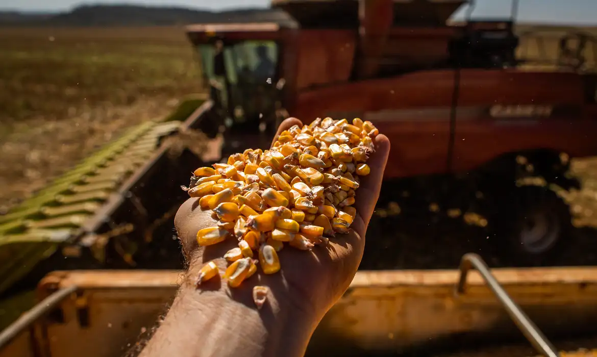 Produção caiu 7,2% em 2024