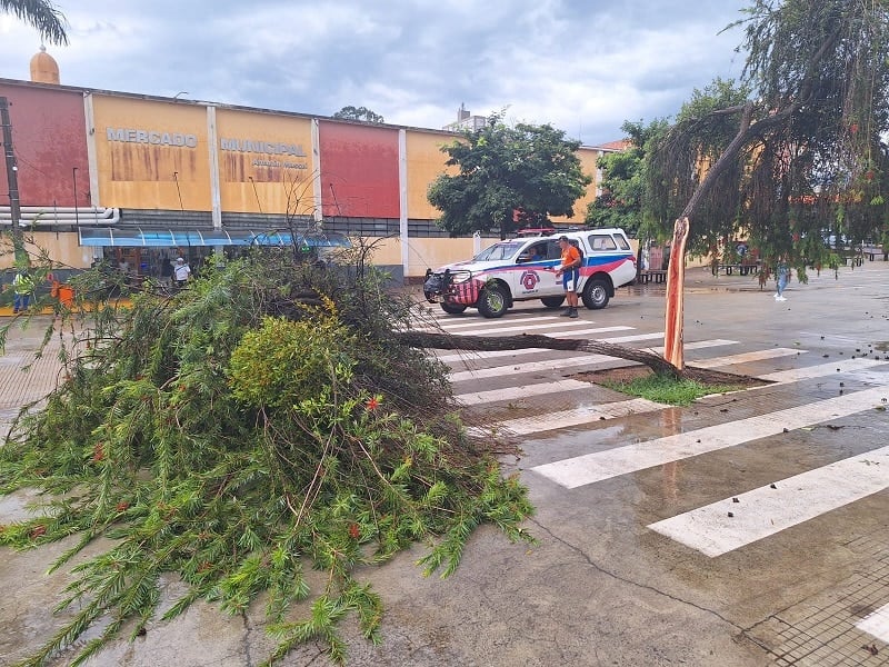 Chuva intensa com granizo e ventania causa estragos em São Carlos