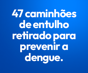 PREVENIR-A-DENGUE_300X250